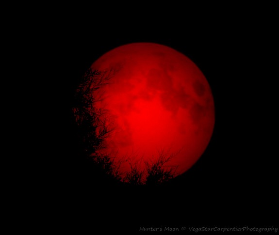 Featured image of post Blood Moon Red Moon Aesthetic